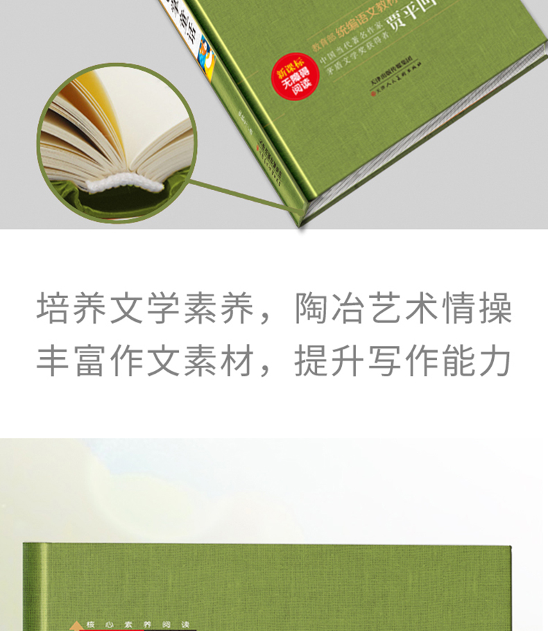 小巴掌童话 三年级必读初中生课外书小学生四五六七年级课外阅读书籍 青少年版世界文学经典名著轻读 学生语文新课标儿童文学读物