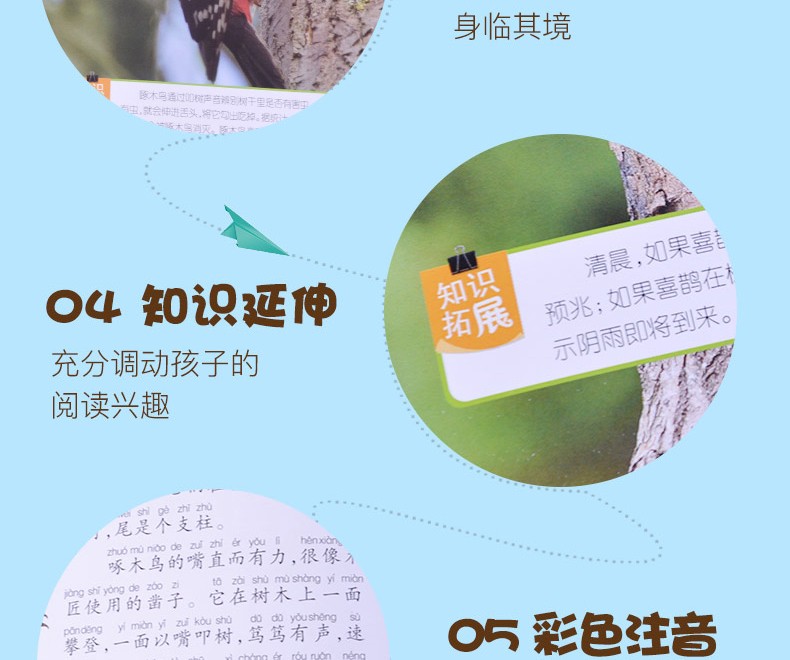 【注音有声朗读版】鸟类小百科 一二三年级少儿拼音读物 儿童故事书 小学生课外阅读书籍