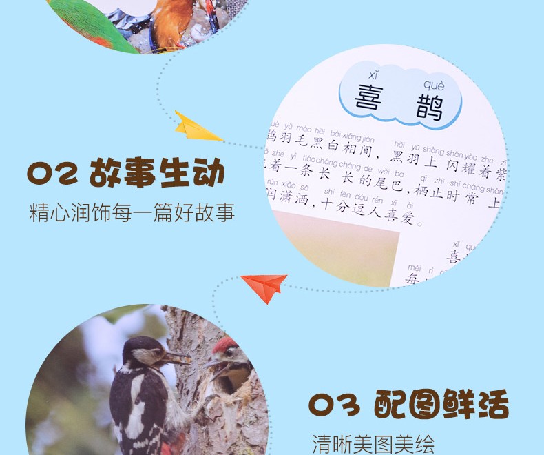 【注音有声朗读版】鸟类小百科 一二三年级少儿拼音读物 儿童故事书 小学生课外阅读书籍