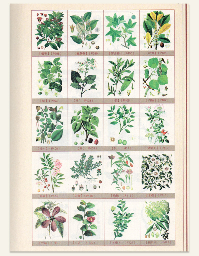 图解本草纲目正版李时珍原著全集插图无删减详解彩图图文并茂贴近生活