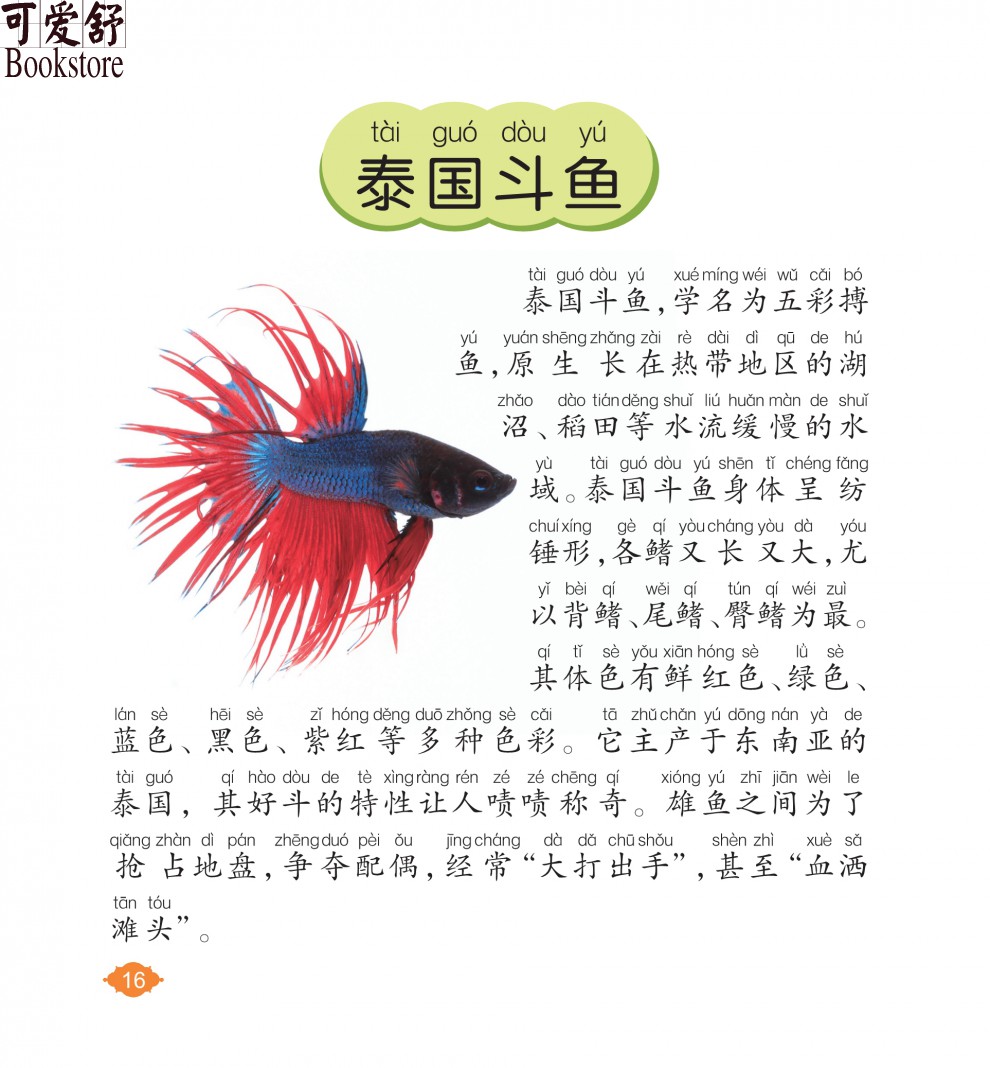 【注音有声朗读版】鱼类小百科 彩图注音版 有声朗读版正版 儿童小学生6-10岁科普书籍 海洋动物