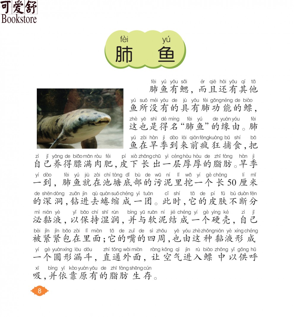 【注音有声朗读版】鱼类小百科 彩图注音版 有声朗读版正版 儿童小学生6-10岁科普书籍 海洋动物