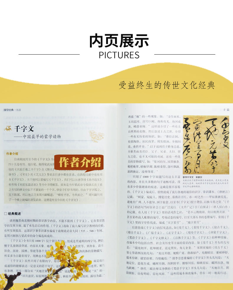 国学经典一本通正版精装 中国历史文化知识书籍 古代思想学术 文化艺术 民俗文化 了解传统文 国学经典一本通