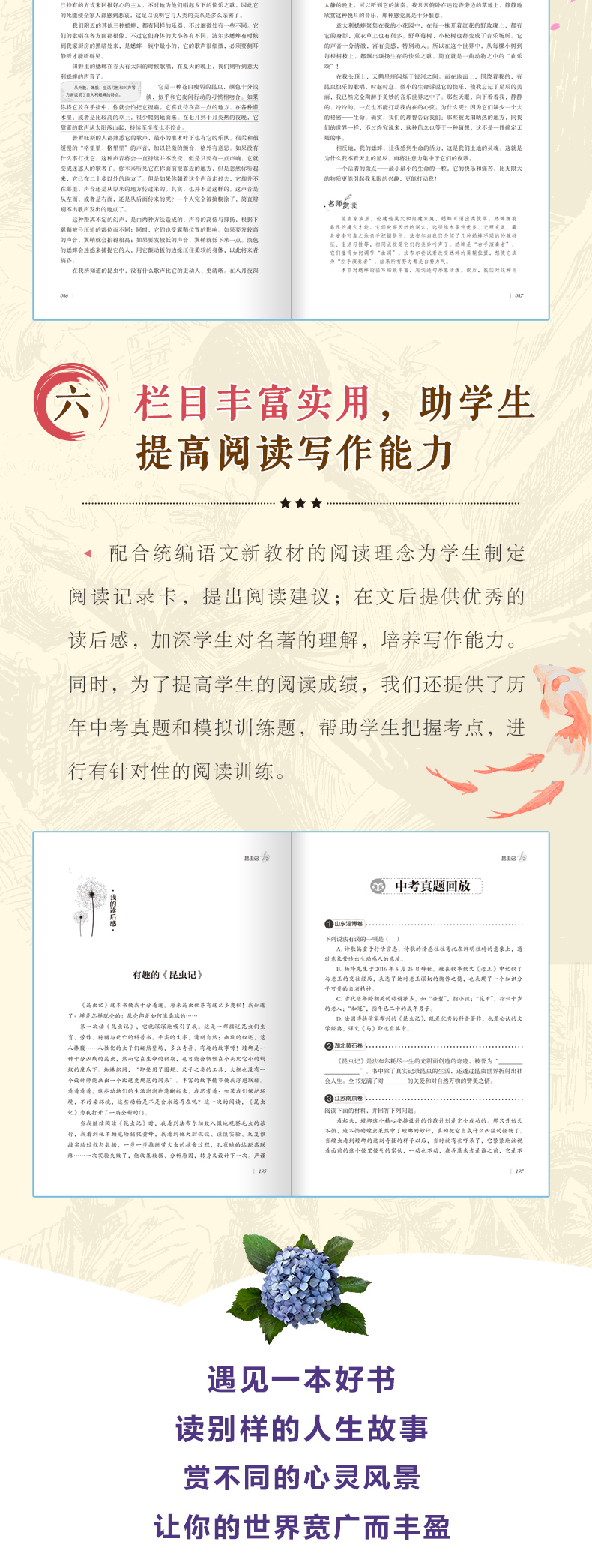 昆虫记正版法布尔原著小学生青少年版课外书必读91215周岁儿童读物三四五六年级课外书籍文