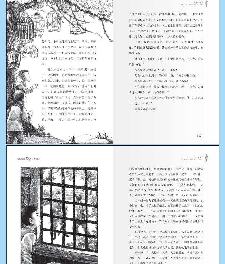 少年的荣耀正版李东华班主任老师推荐经典书目四五六年级小学生课外阅读必读书籍北京教育出版社bd