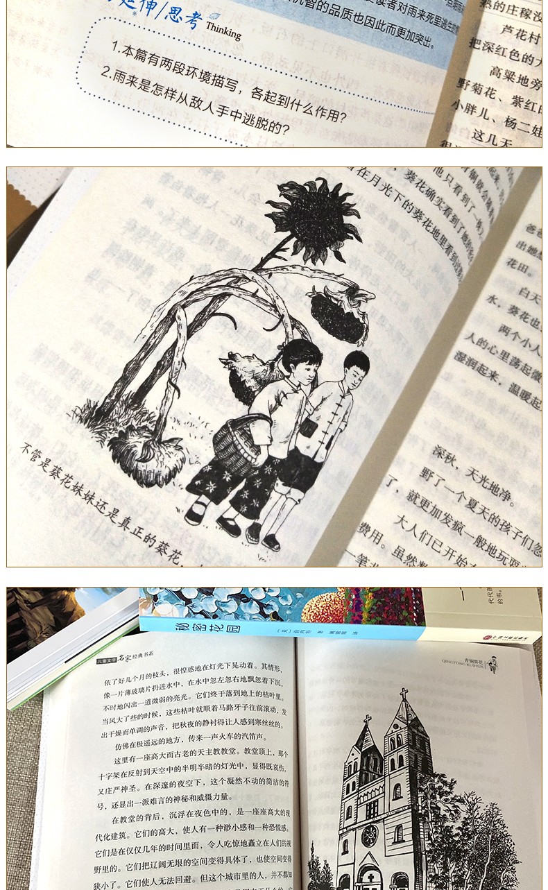河北省四年级指定书目地球的故事青铜葵花赏读本小英雄雨来秘密花园4册正版原著曹文轩下册小学生必读书