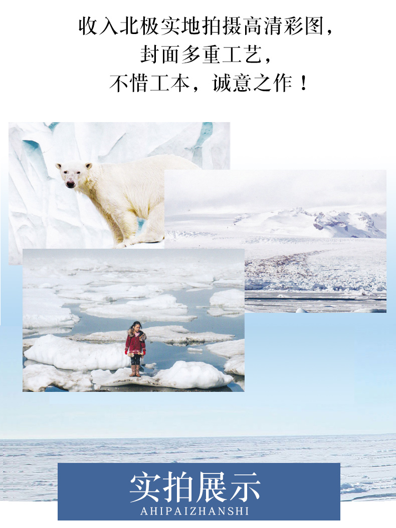 北极焰火 许诺晨著中国当代儿童文学 小学生3456年级老师课外阅读中小学生青少年儿童读物 江苏凤凰