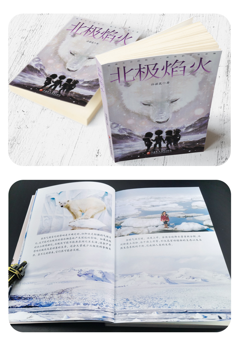 北极焰火 许诺晨著中国当代儿童文学 小学生3456年级老师课外阅读中小学生青少年儿童读物 江苏凤凰