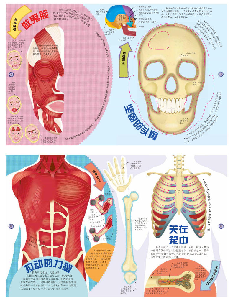 DK透视人体奇遇DK玩出来的百科系列儿童3D立体书少儿百科全书启蒙益智游戏思维训练书籍DK公司编著