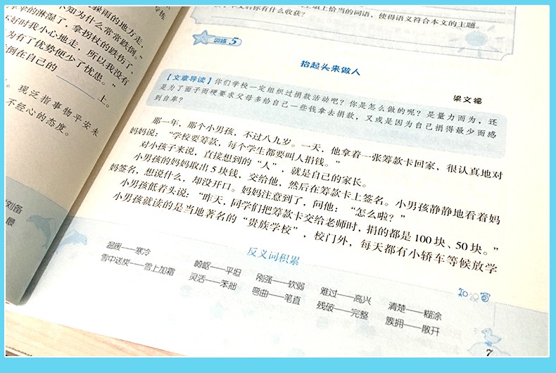 五年级小学语文阅读天天练100+ 5年级阅读理解训练暑假作业教材全解2019年版作文书 蔡晔编著