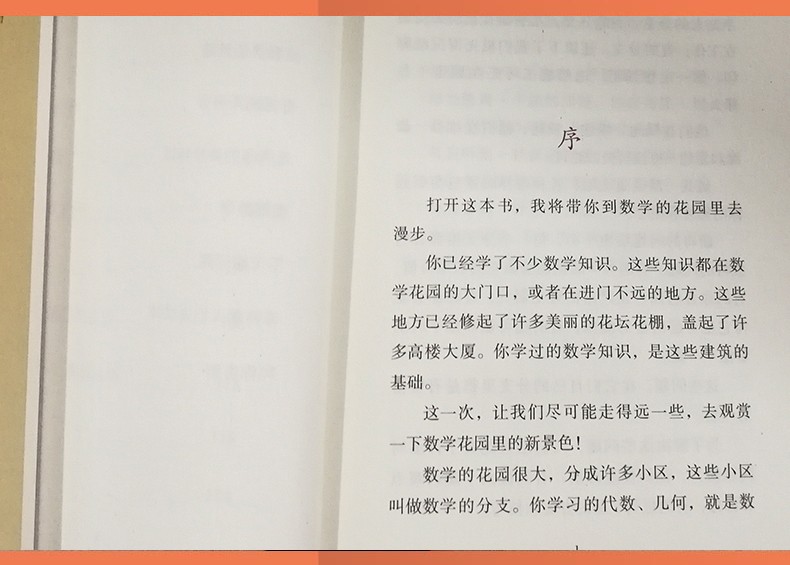 数学花园漫游记 趣味数学典藏版 三四五六年级儿童趣味数学益智成长儿童文学读物