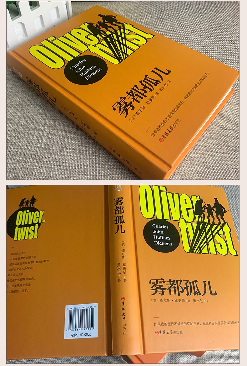 雾都孤儿 (英)查尔斯·狄更斯(Charles John Huffam Dickens) 著 黄水乞