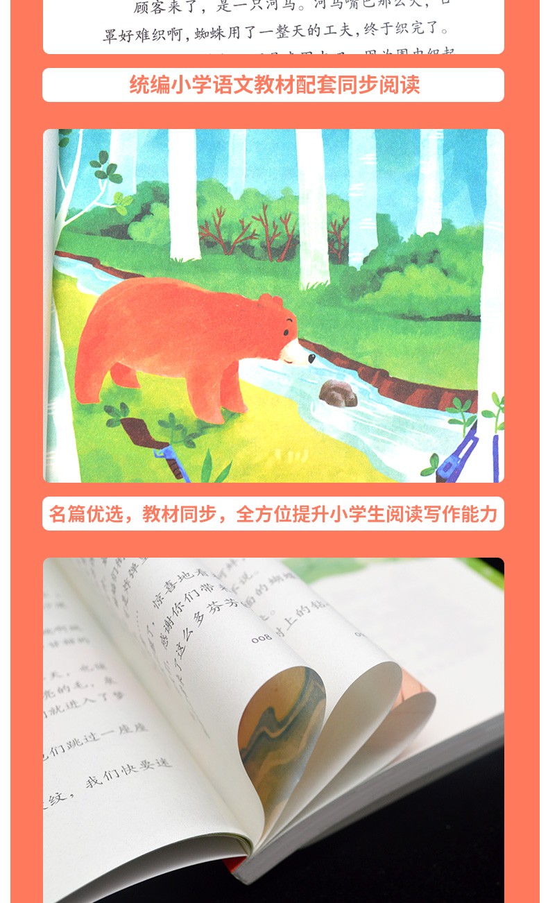 蜘蛛开店二年级课外书 鲁冰著 统编版小学语文教科书同步阅读书系 三年级下册必读课外书老师推荐