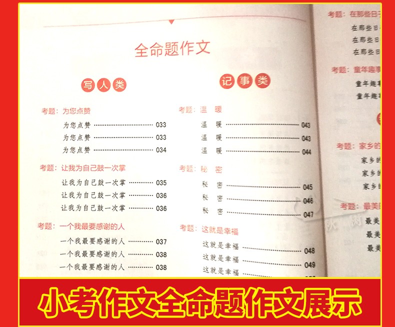 2019年新版小升初作文加厚 六年级作文书优秀作文小升初中考满分作文书小学生四五六年级4-5-6年级