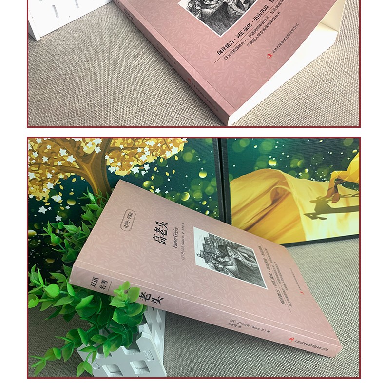 红色羊齿草的故乡2019版爱心树童书