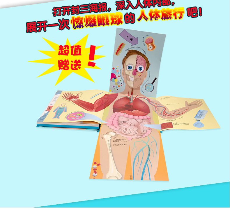 DK透视人体奇遇DK玩出来的百科系列儿童3D立体书少儿百科全书启蒙益智游戏思维训练书籍DK公司编著