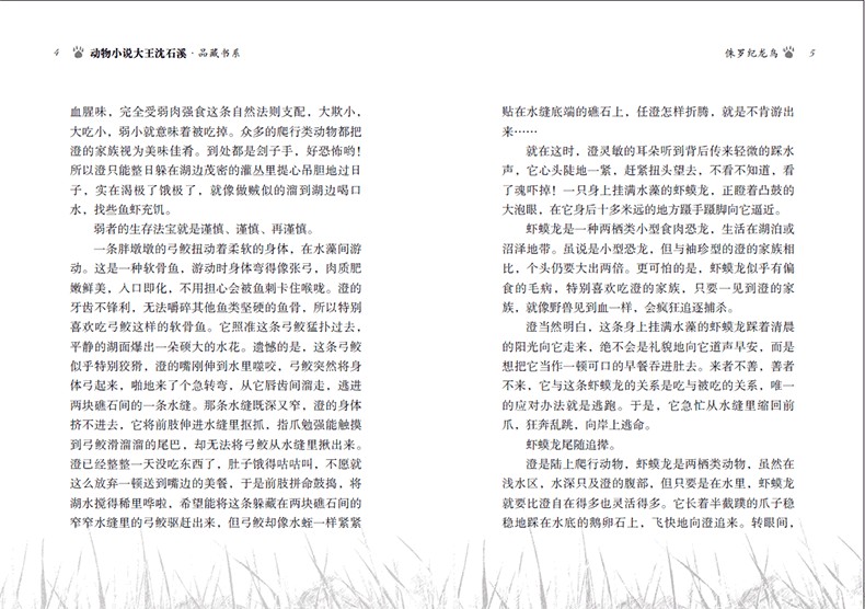 侏罗纪龙鸟正版 沈石溪 动物小说大王沈石溪品藏书系新书 沈石溪远古动物小说恐龙家族故事三四五六年级