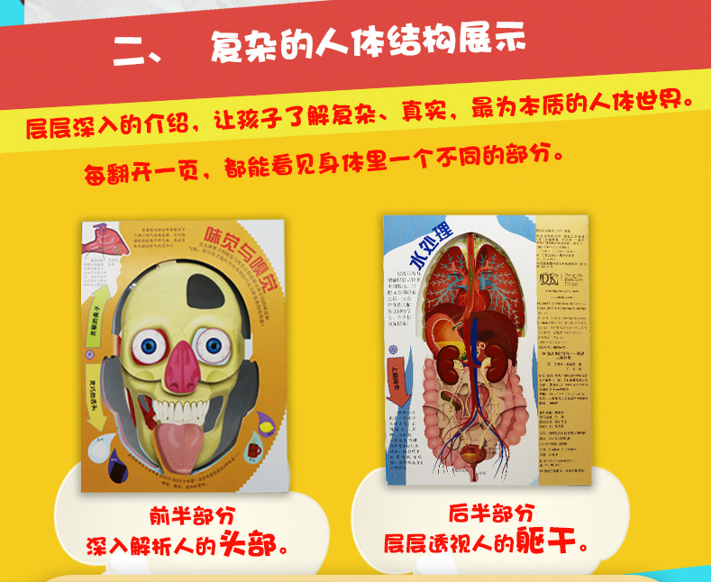 DK透视人体奇遇DK玩出来的百科系列儿童3D立体书少儿百科全书启蒙益智游戏思维训练书籍DK公司编著