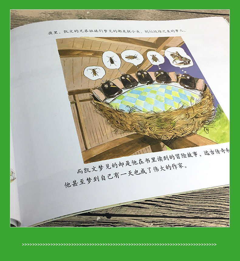 凯文不会飞 聪明豆绘本系列正版儿童绘本睡前故事书幼儿早教阅读启蒙成长书籍幼儿园老师推荐小班中大班