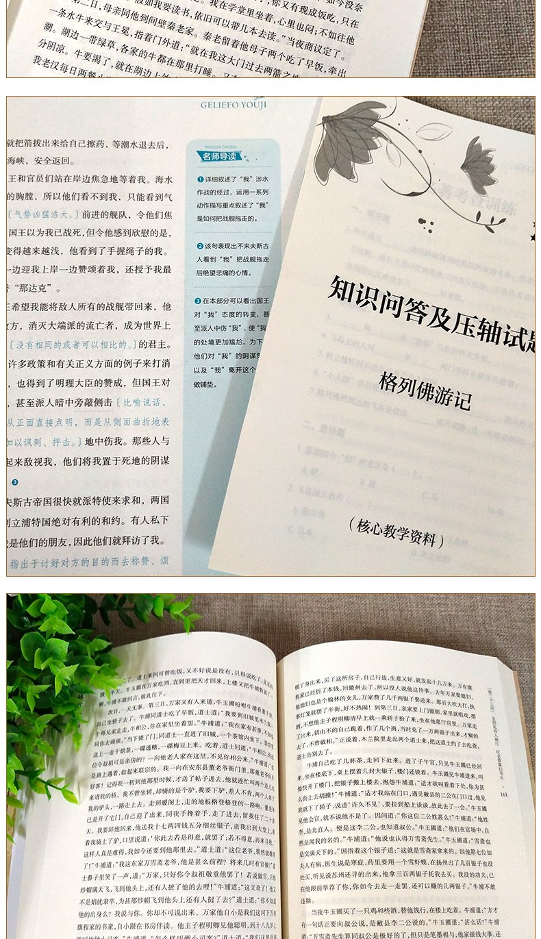 2020年河北省九年级必读 儒林外史正版原著格列佛游记原版围城钱钟书简爱书籍 九年级初中生课外书初三