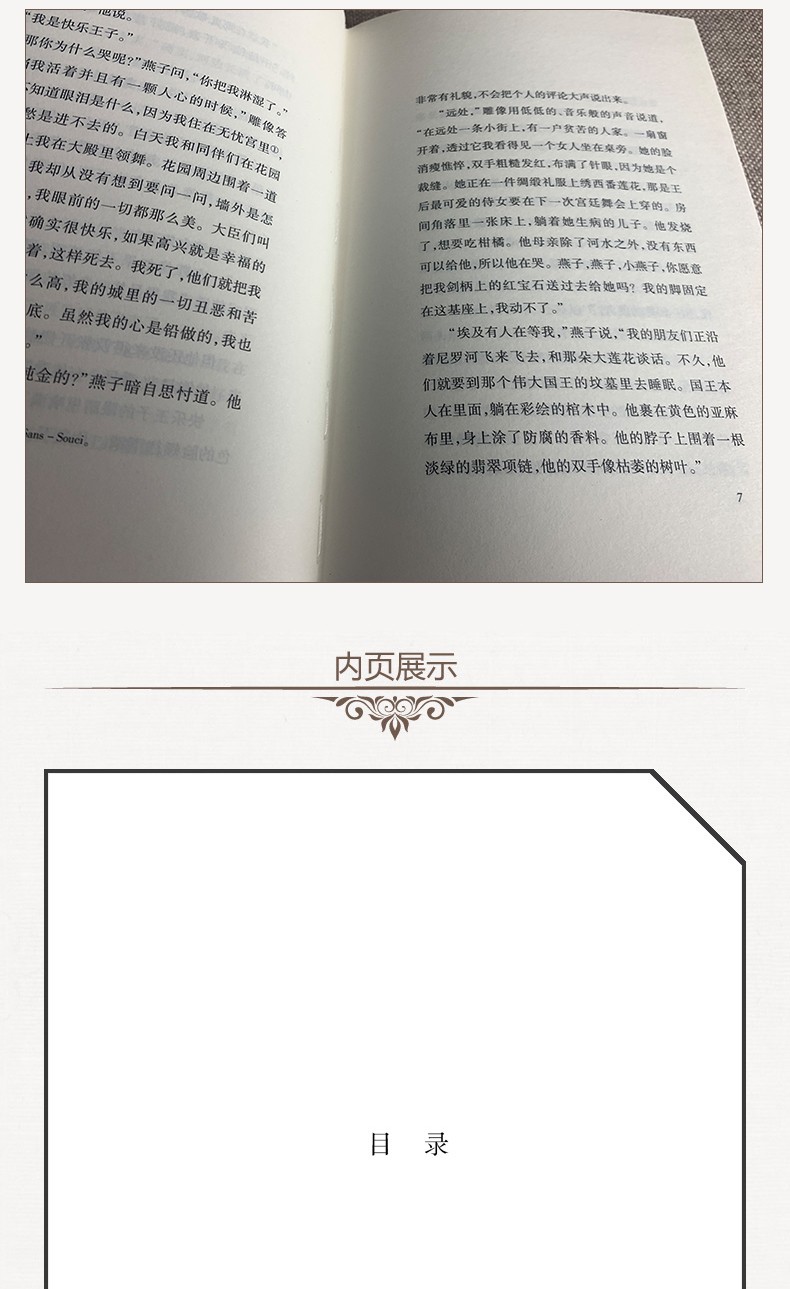 快乐王子书 王尔德童话 张炽恒译快乐王子故事集 中小学生课外阅读书籍四五六年级课外书籍 快乐王子正版