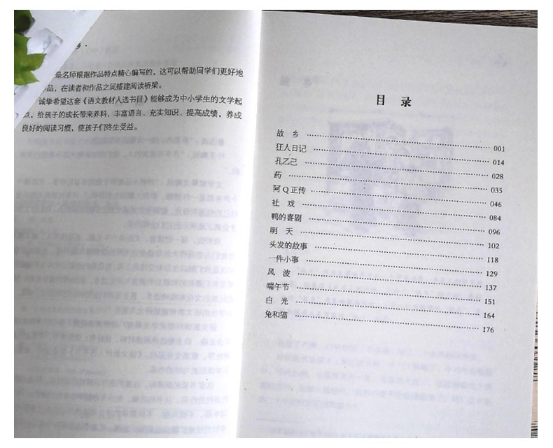 故乡鲁迅的六年级上册必读正版书籍/鲁迅杂文精选全集