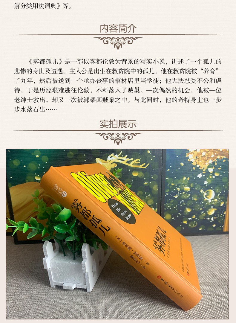 雾都孤儿 (英)查尔斯·狄更斯(Charles John Huffam Dickens) 著 黄水乞