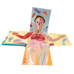 dk透视人体奇遇dk玩出来的百科系列儿童3d立体书少儿百科全书启蒙益智