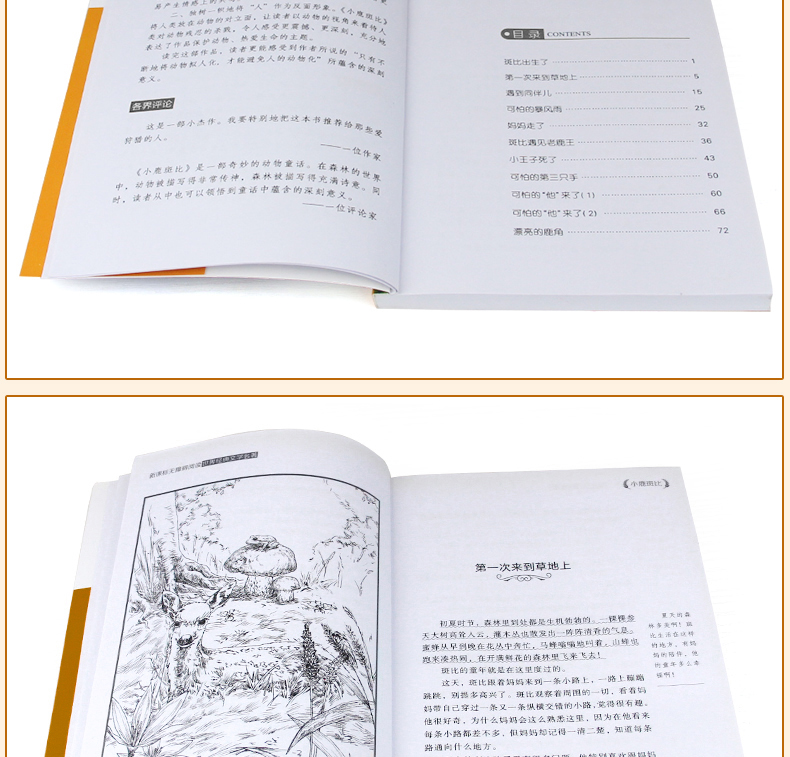 小鹿斑比 世界经典文学名著 青少年阅读新课标小学生三四五六年级课外阅读书籍 小鹿斑比 儿童文学