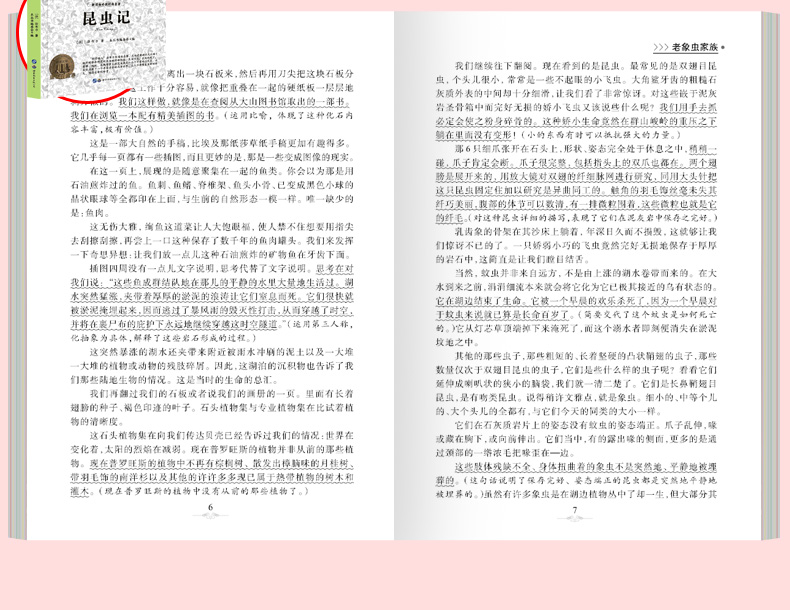 寒假书二年级学校老师花婆婆绘本 小巴掌童话 了不起的狐狸爸爸 没头脑和不高兴注音版小学生