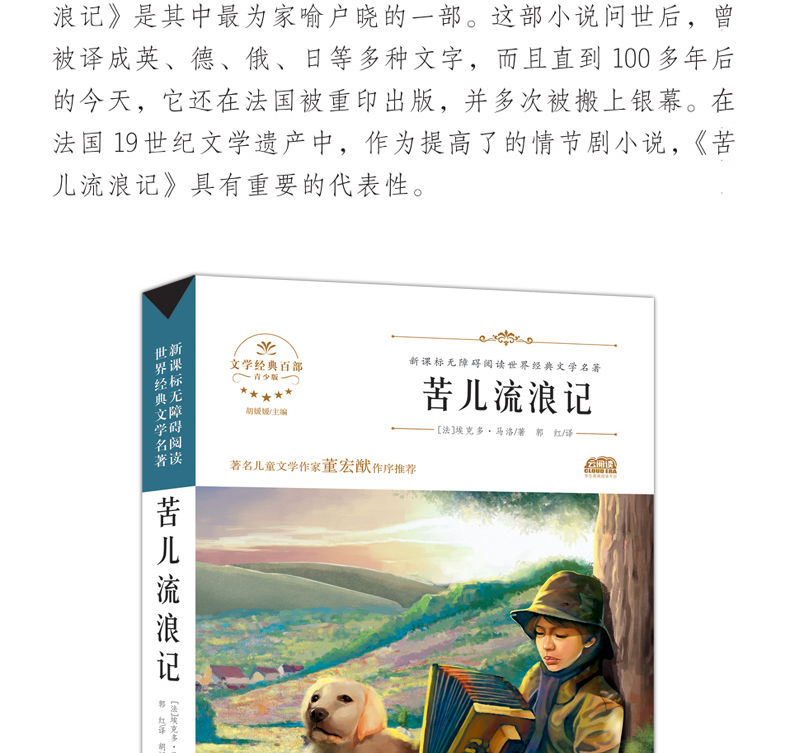 苦儿流浪记 世界经典文学名著 青少年阅读新课标小学生三四五六年级课外阅读书籍 苦儿流浪记 儿童文学