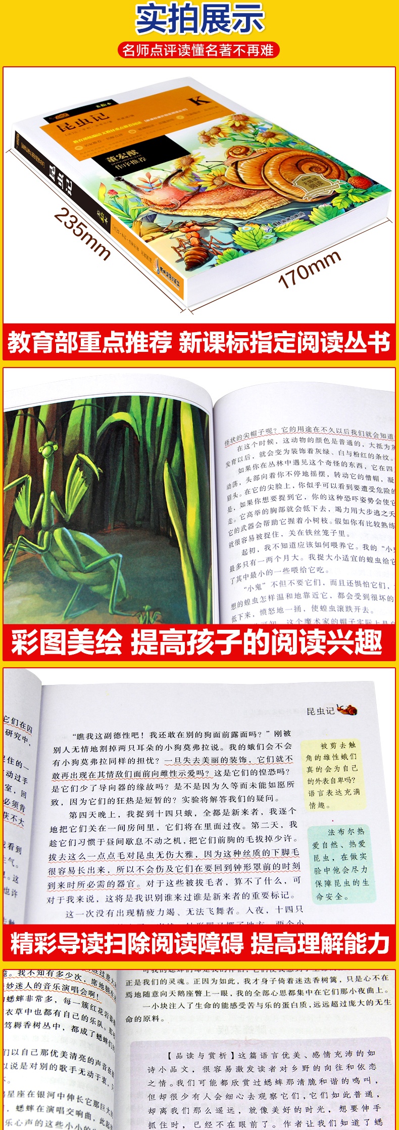 昆虫记 云阅读美绘本 名师点评无障碍阅读小学生课外书世界经典名著阅读7-14岁三四五六年级课外阅读