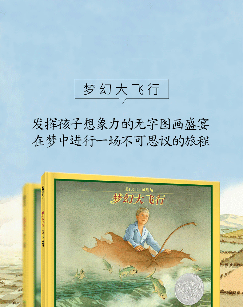耕林童书馆梦幻大飞行精装绘本36岁儿童绘本幼儿园绘本儿童睡前故事书