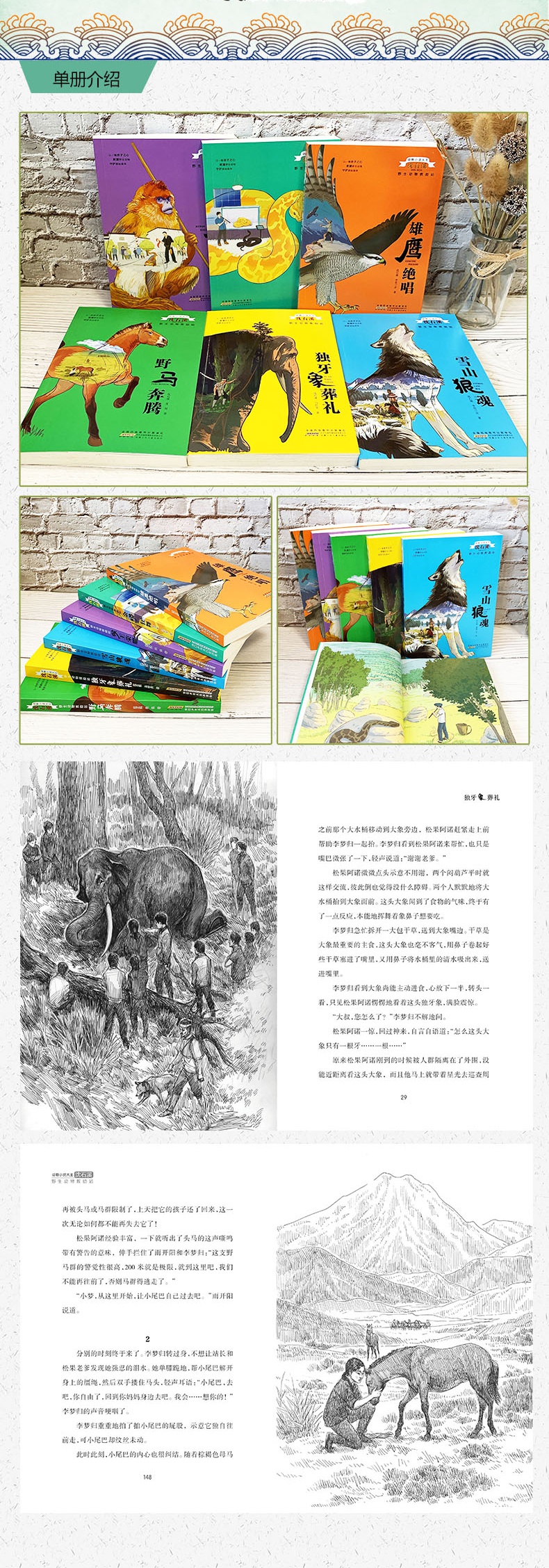沈石溪动物小说系列全集全套6册 野生动物救助站 小学生课外阅读书籍7-14岁儿童文学读物三四五六年级