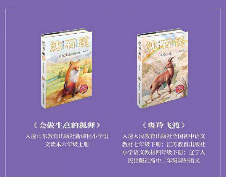 沈石溪动物小说全集全套25册 沈石溪的书儿童文学课外书9-12-15岁小学生课外阅读书籍