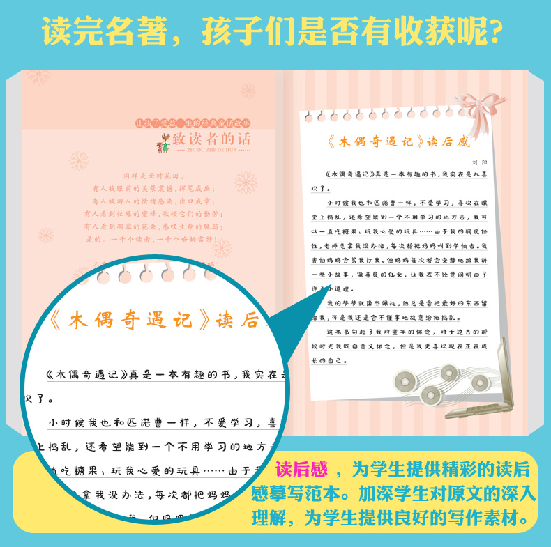 注音版木偶奇遇记海豚出版社太阳鸟新课海豚出版社太阳鸟新课标大阅读班主任推荐书 木偶奇遇记