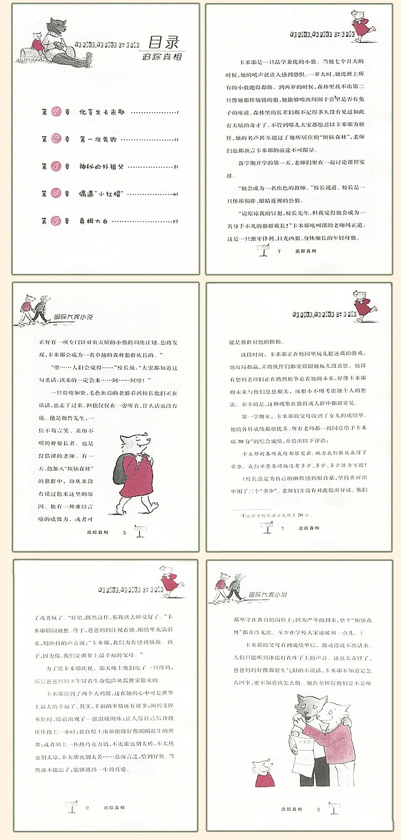 追踪真相 国际大奖小说 法国女巫儿童文学奖 7-14岁少儿童文学成长故事书