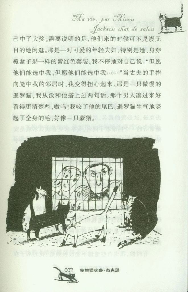 国际大奖小说 升级版 宠物猫咪鲁·杰克逊 11-14岁青少年少儿童书