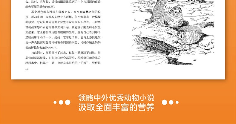 沈石溪动物小说全集全系列8册中外动物小说正版小学生课外阅读的书籍儿童文学7-14岁