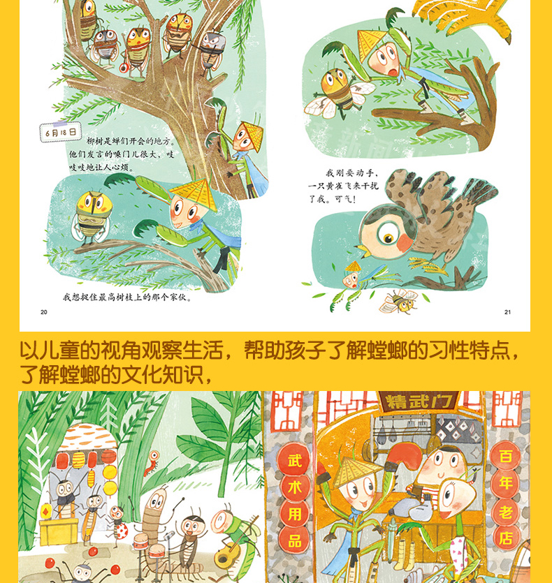 我的日记系列 螳螂的日记 3-9岁儿童文学绘本故事图书 趣味幽默科普阅读动物书籍 童话故事
