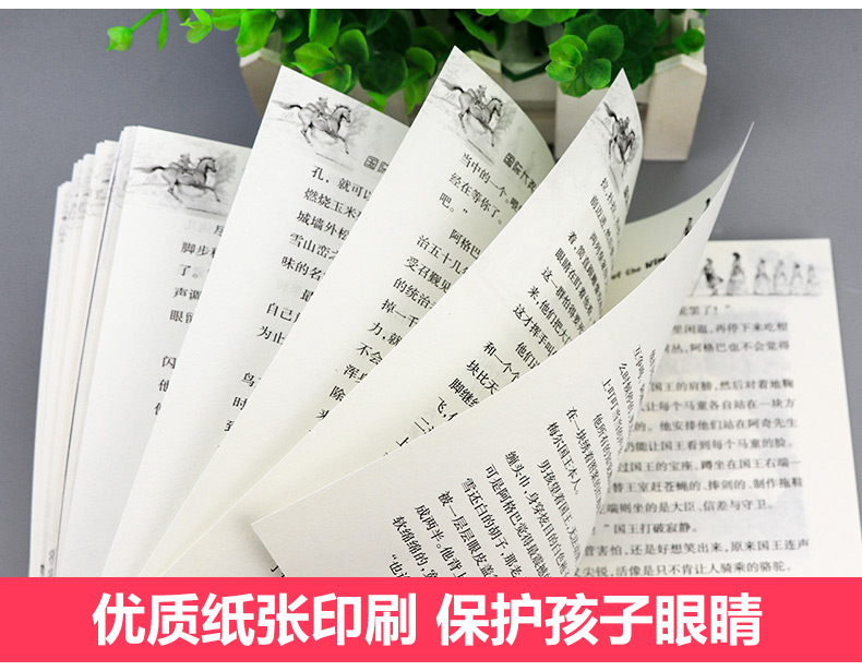 国际大奖小说升级版 风之王 11-14岁小学生课外书