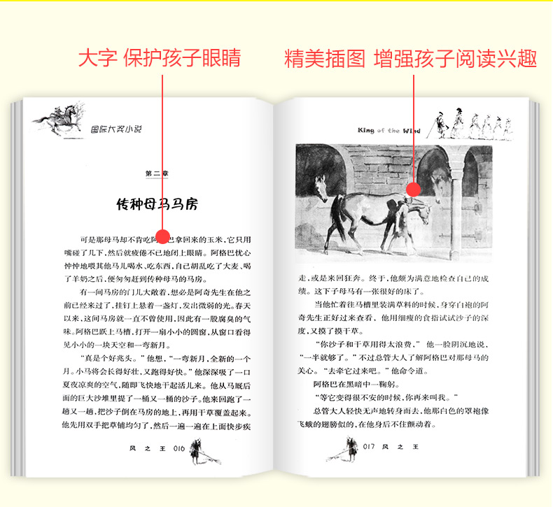 国际大奖小说升级版 风之王 11-14岁小学生课外书