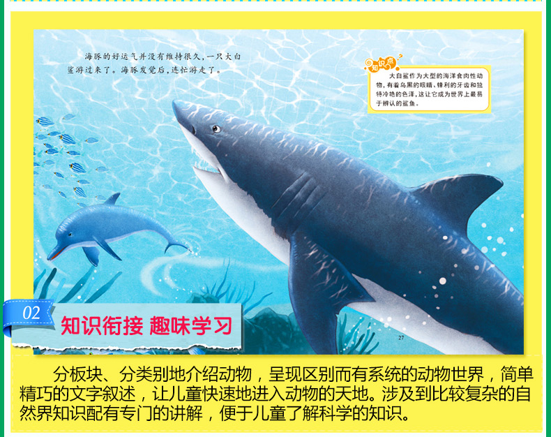探索动物之旅 奇趣动物绘本丛书全16册 绘本3-6岁 儿童科普读物百科书籍