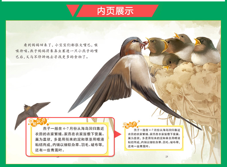 探索动物之旅 奇趣动物绘本丛书全16册 绘本3-6岁 儿童科普读物百科书籍