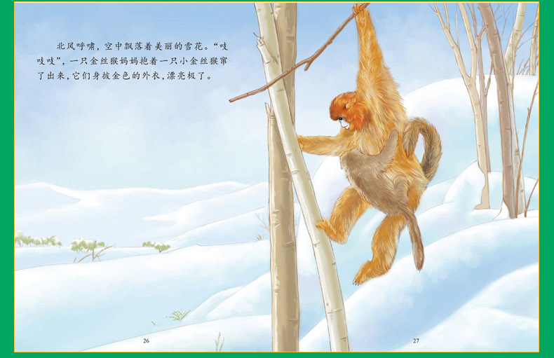 探索动物之旅 奇趣动物绘本丛书全16册 绘本3-6岁 儿童科普读物百科书籍