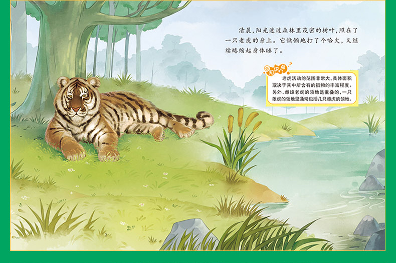 探索动物之旅 奇趣动物绘本丛书全16册 绘本3-6岁 儿童科普读物百科书籍