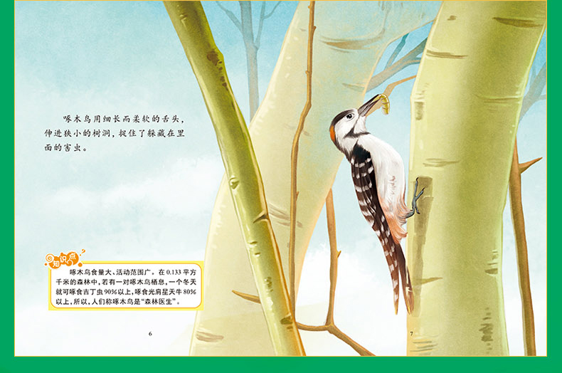 探索动物之旅 奇趣动物绘本丛书全16册 绘本3-6岁 儿童科普读物百科书籍