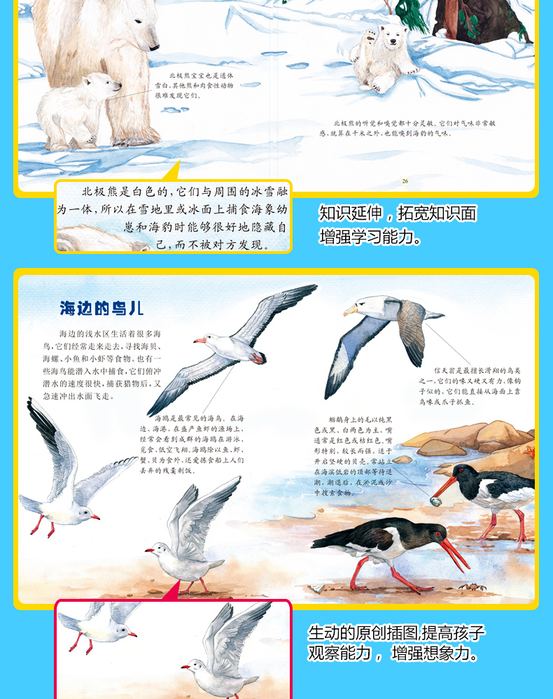 探索动物之旅 奇趣动物绘本丛书全16册 绘本3-6岁 儿童科普读物百科书籍