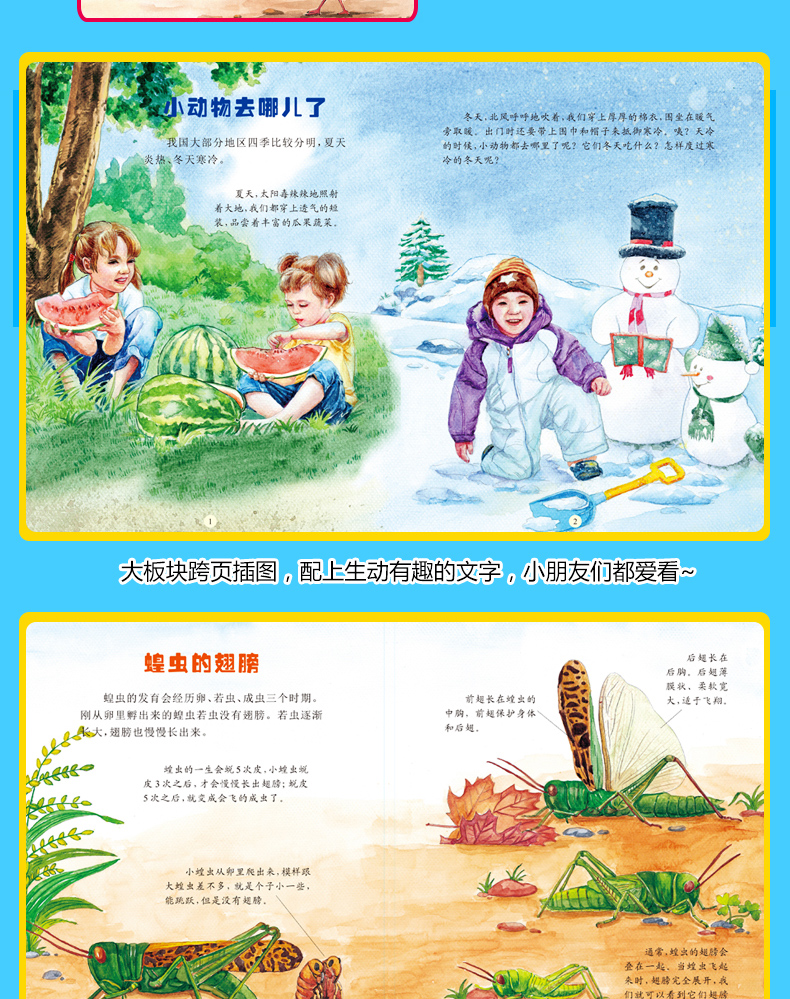 探索动物之旅 奇趣动物绘本丛书全16册 绘本3-6岁 儿童科普读物百科书籍
