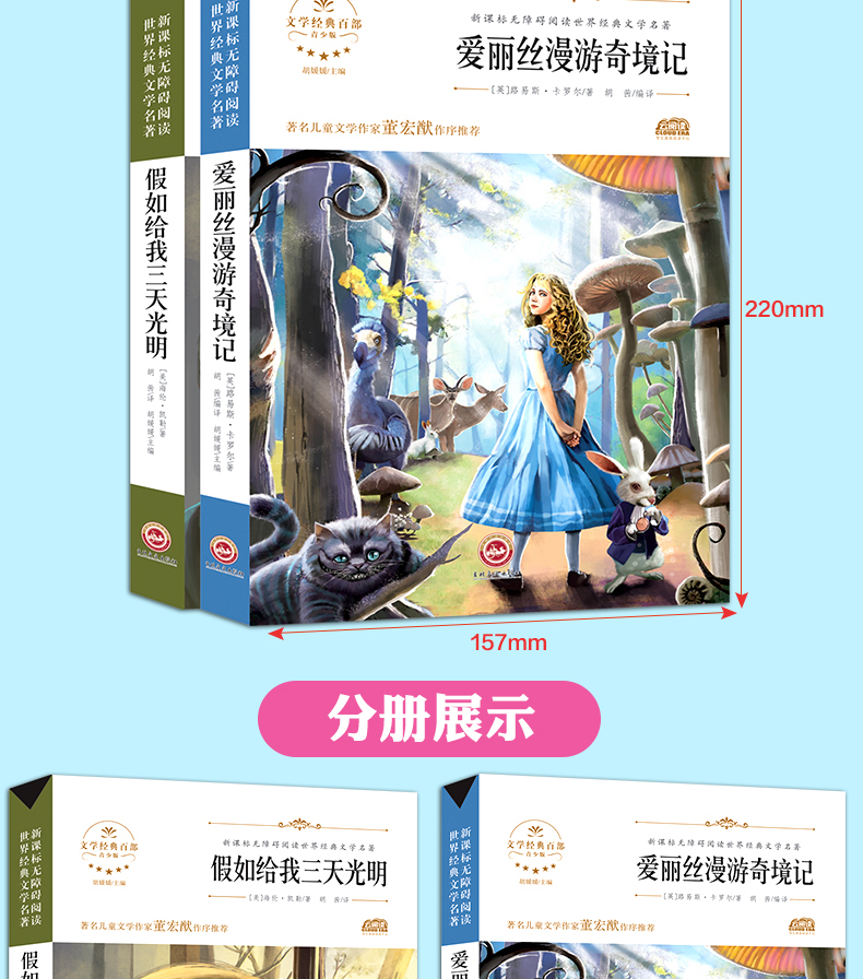 全2册世界经典文学名著阅读  爱丽丝漫游奇境记 假如给我三天光明 小学生三四五六年级课外阅读书籍